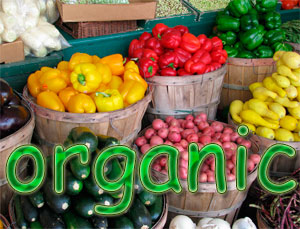organichesk1