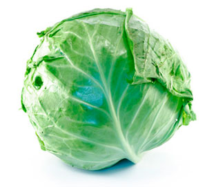 kapusta2